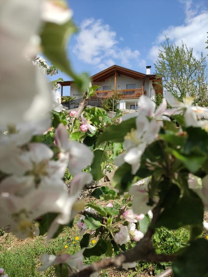 Pruensterhof Schenna Apartment Luaran gambar