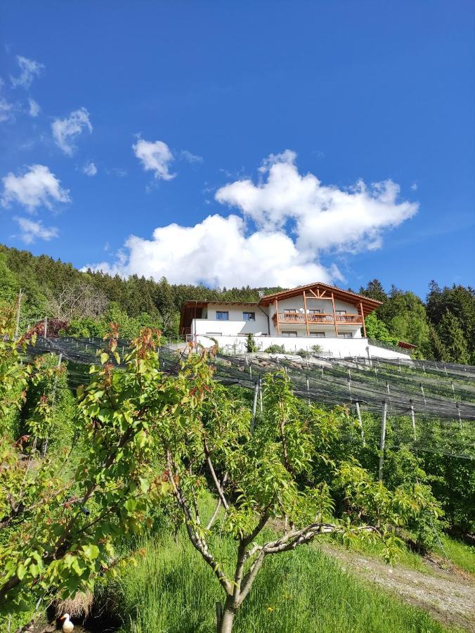 Pruensterhof Schenna Apartment Luaran gambar