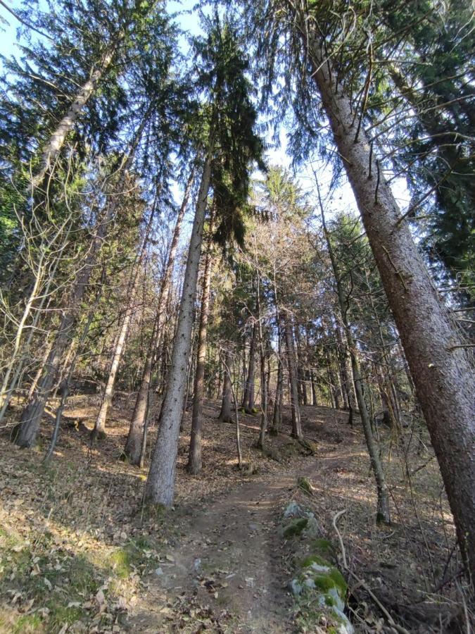 Pruensterhof Schenna Apartment Luaran gambar