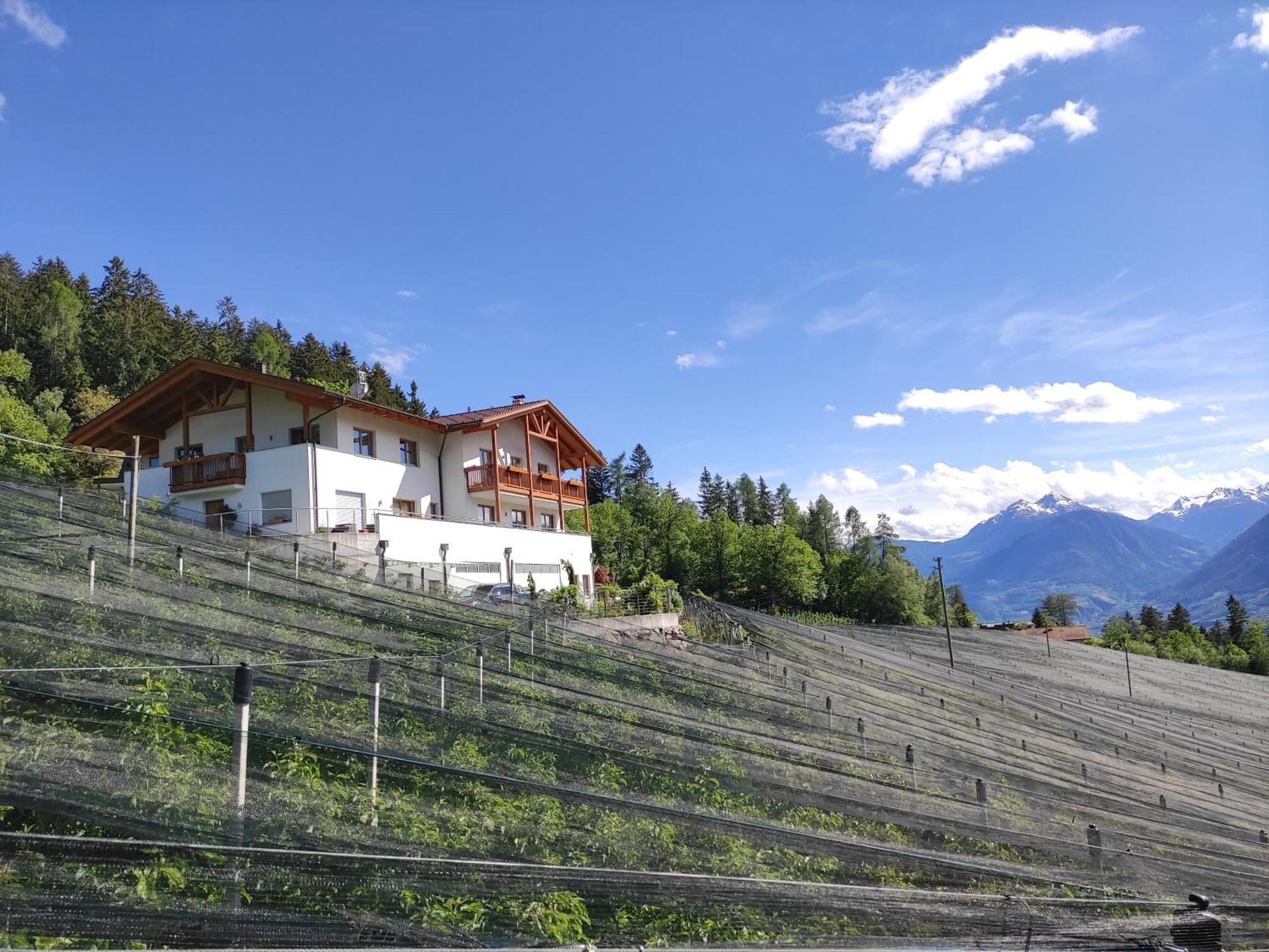 Pruensterhof Schenna Apartment Luaran gambar
