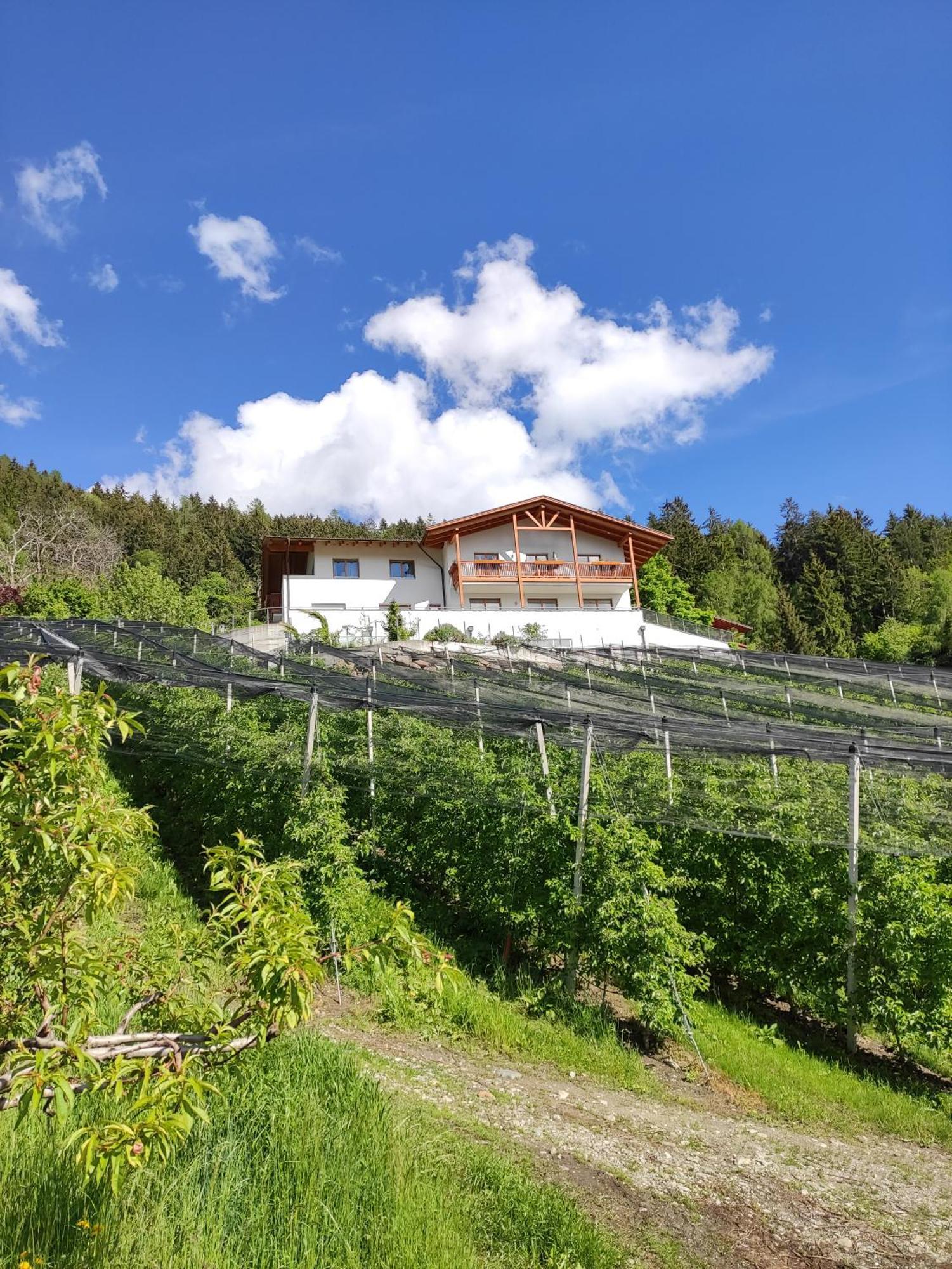 Pruensterhof Schenna Apartment Luaran gambar